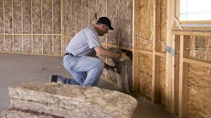 Best Batt and Roll Insulation  in Central Gardens, TX